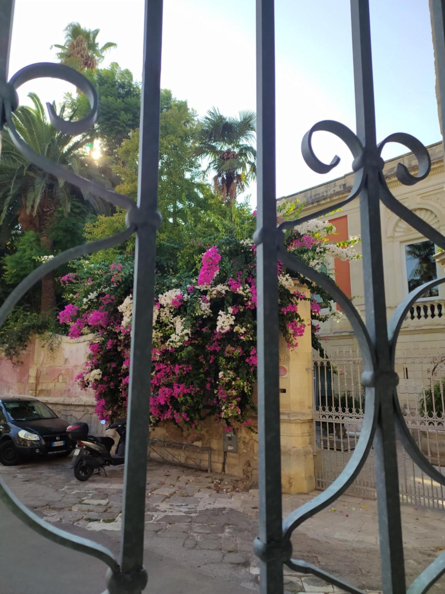 ليتشي Vico Sferracavalli المظهر الخارجي الصورة